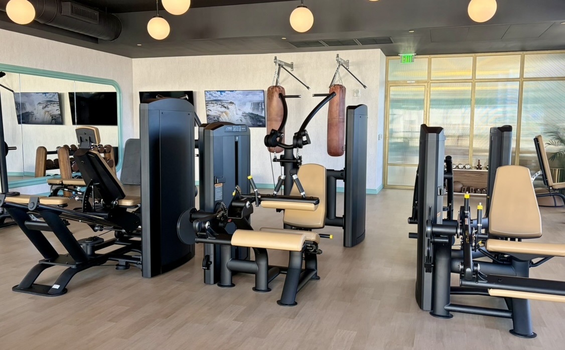 Strength Equipment
